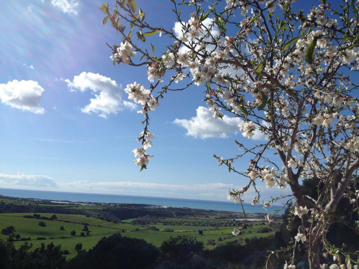 Casina Lanterne Apartment Marina di Ragusa Bagian luar foto